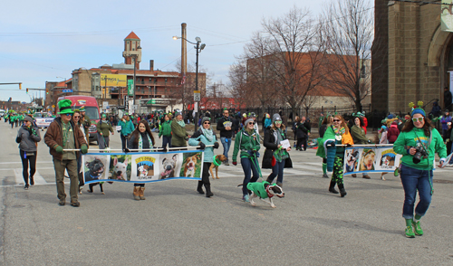 2019 Cleveland St. Patrick's Day Parade - City Dogs